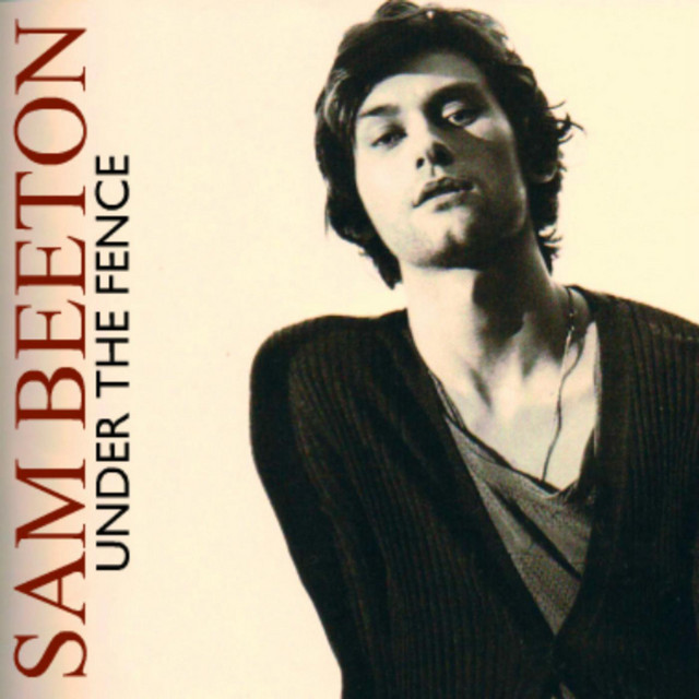 Under the Fence - Single cover