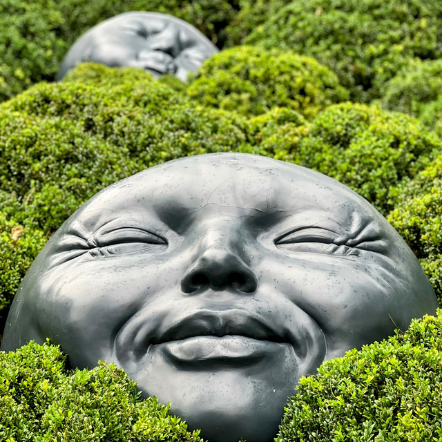 Fenomeno cover art