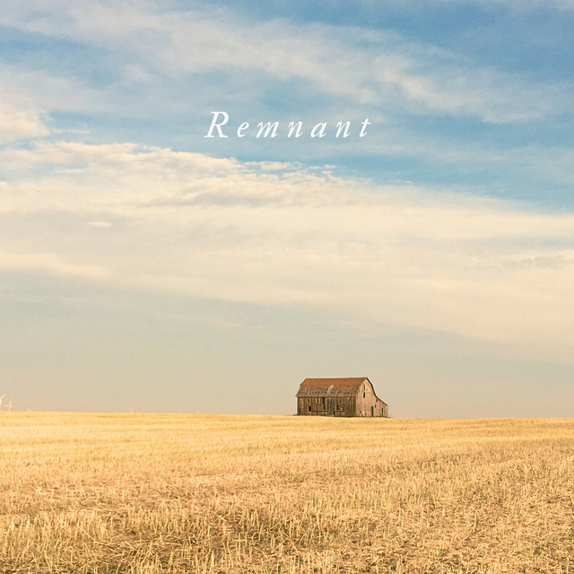 Remnant cover art