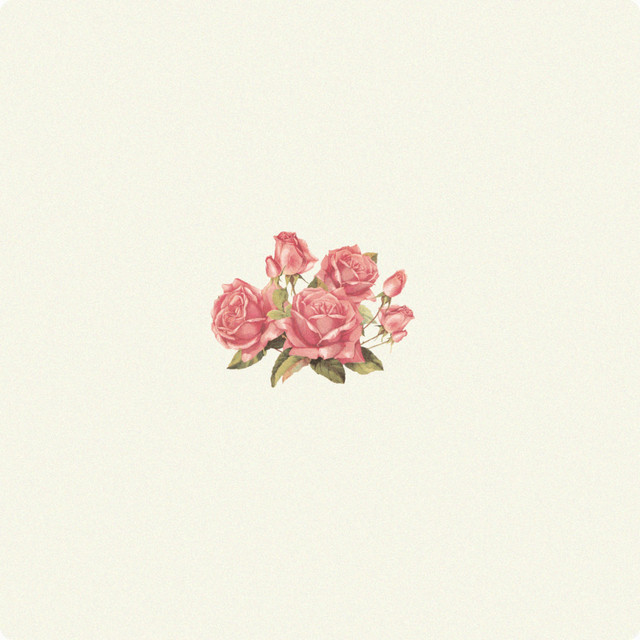 Ivory cover