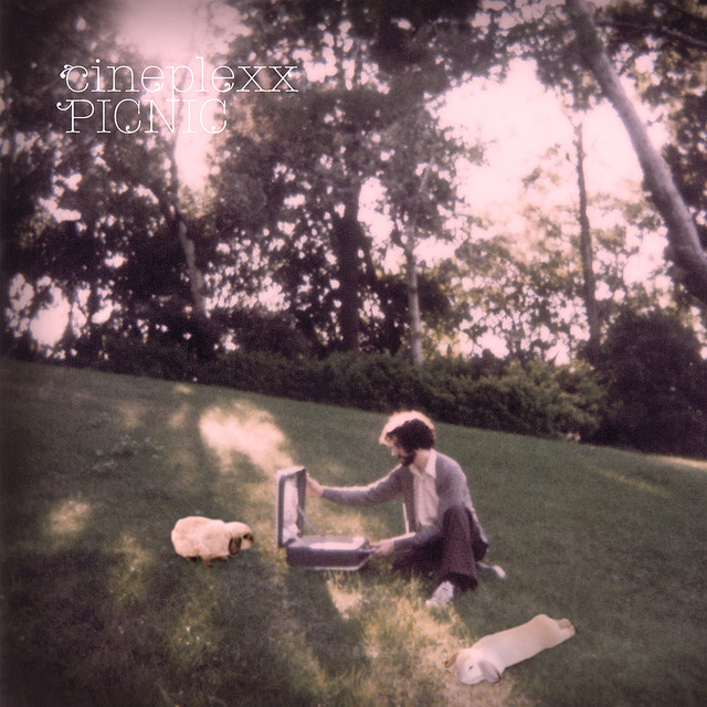 Picnic cover art