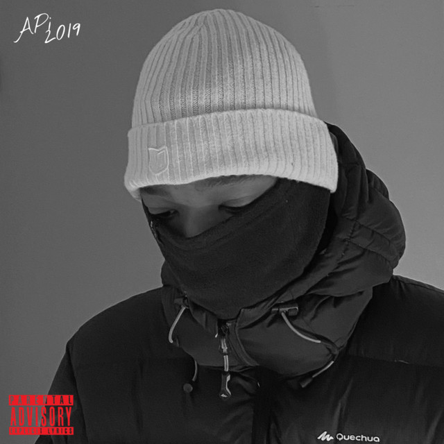 APi 2019 cover art