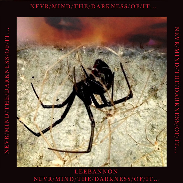 Never/Mind/The/Darkness/Of/It... cover art