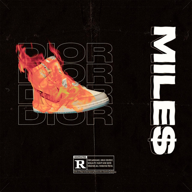 Dior cover art