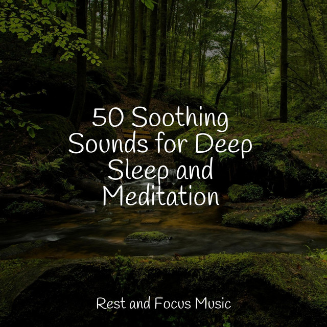50 Soothing Sounds for Deep Sleep and Meditation - Album by Guided ...