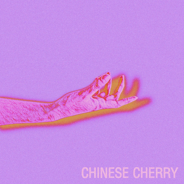 Soft Sounds for the People cover art