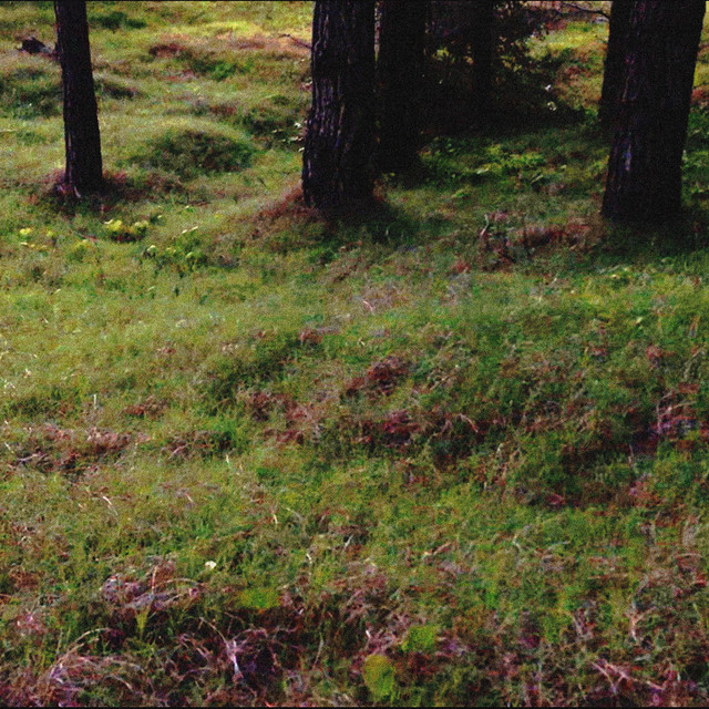 Music for Breathing Without Assistance cover art