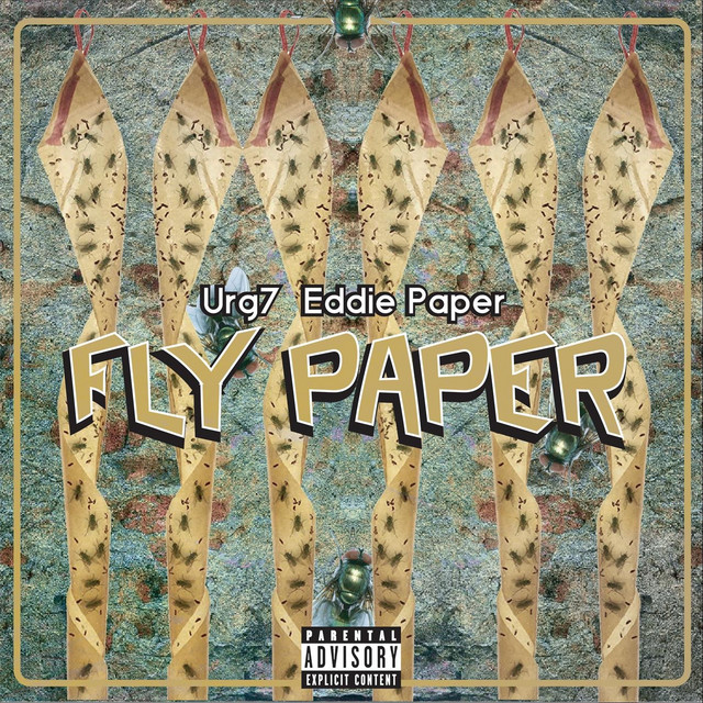 Fly Paper cover art