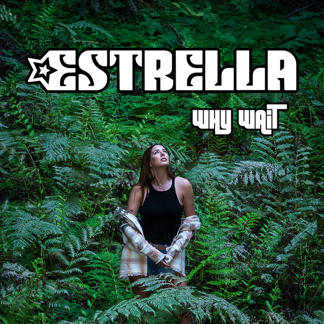 Why Wait cover art