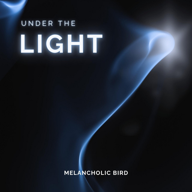 Обкладинка: Under The Light — Melancholic Bird