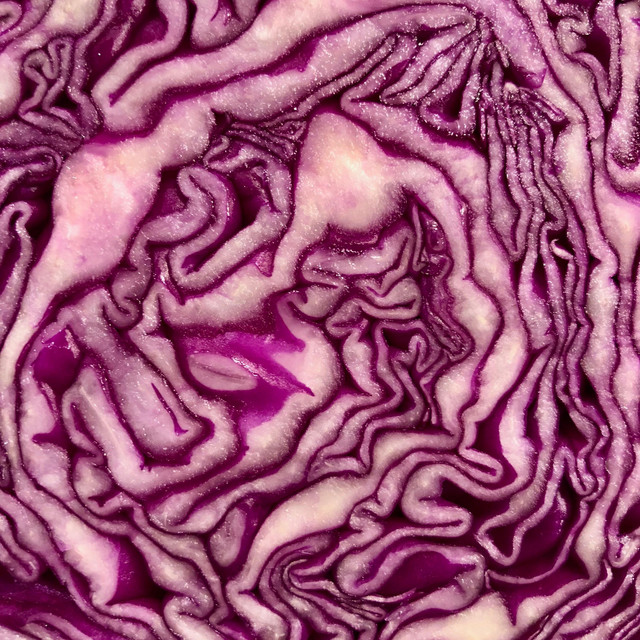 Crudforms, Vol. 3 cover