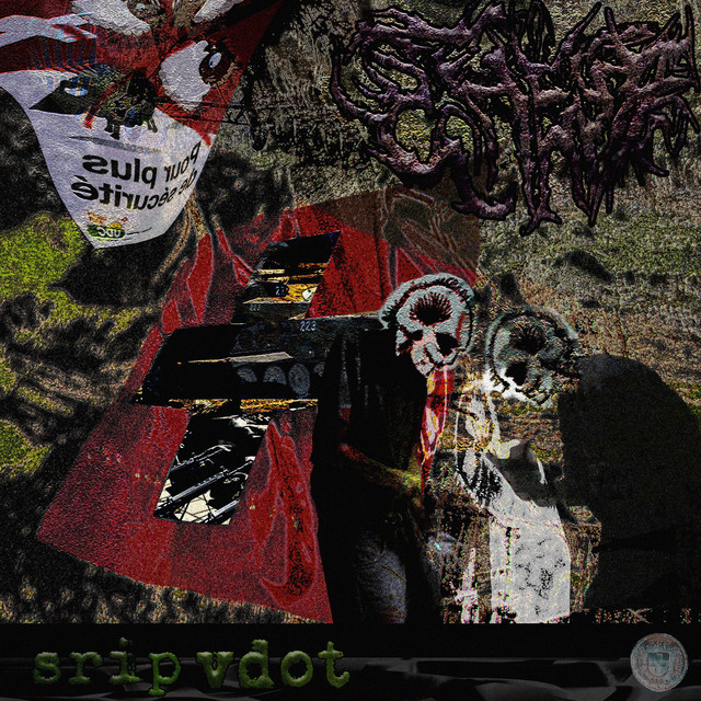 sheya cover art