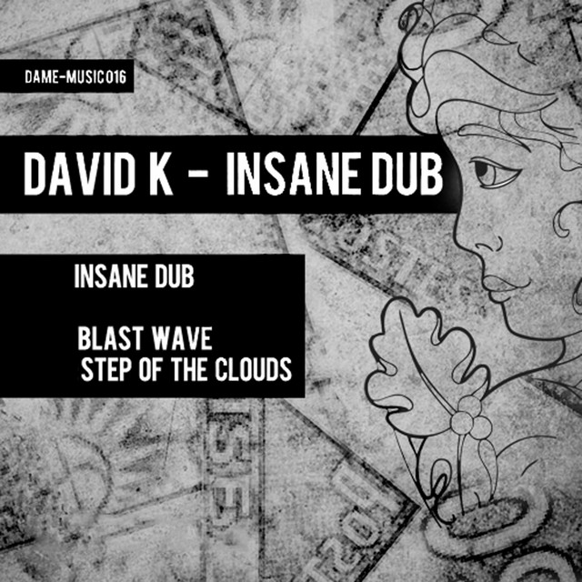Insane Dub album art