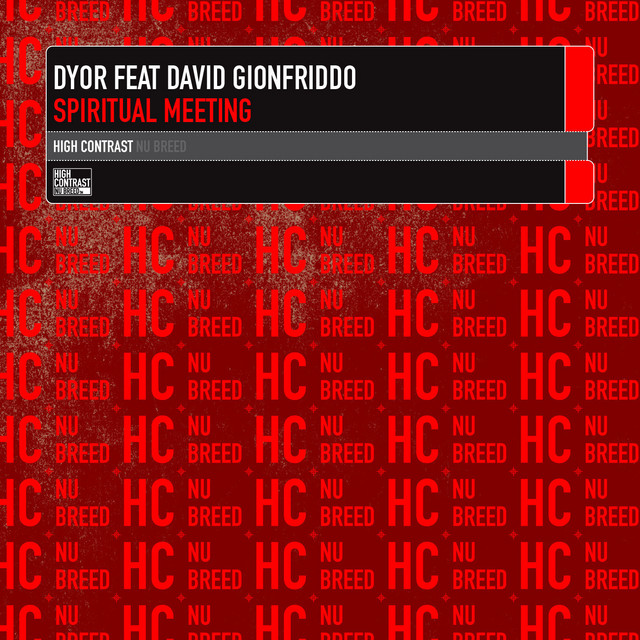 Spiritual Meeting - Original Vox Mix cover art