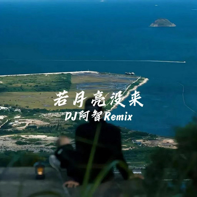 若月亮没来 (DJ阿智版) - Single by 王宇宙Leto | Spotify