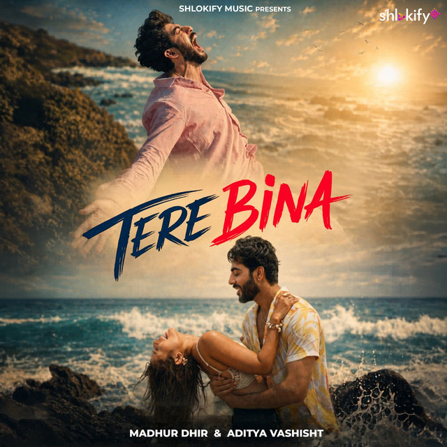 Tere Bina