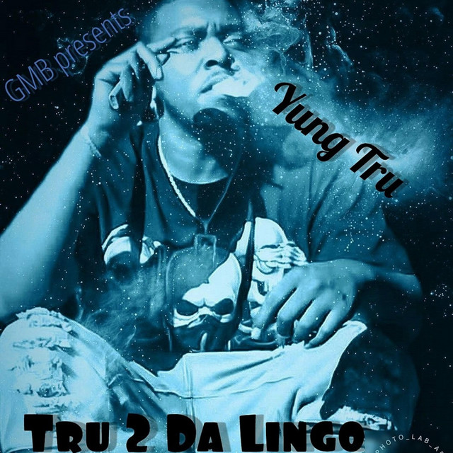 Tru 2 Da Lingo cover art
