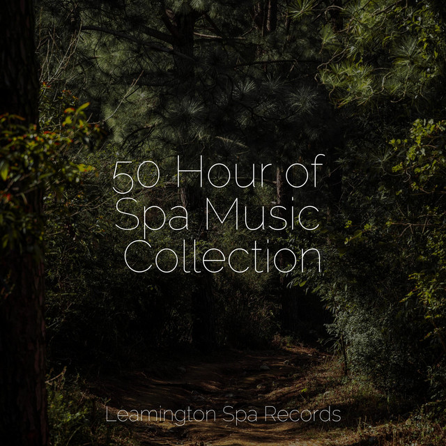 50 Hour of Spa Music Collection - Album by Sounds Of Nature ...