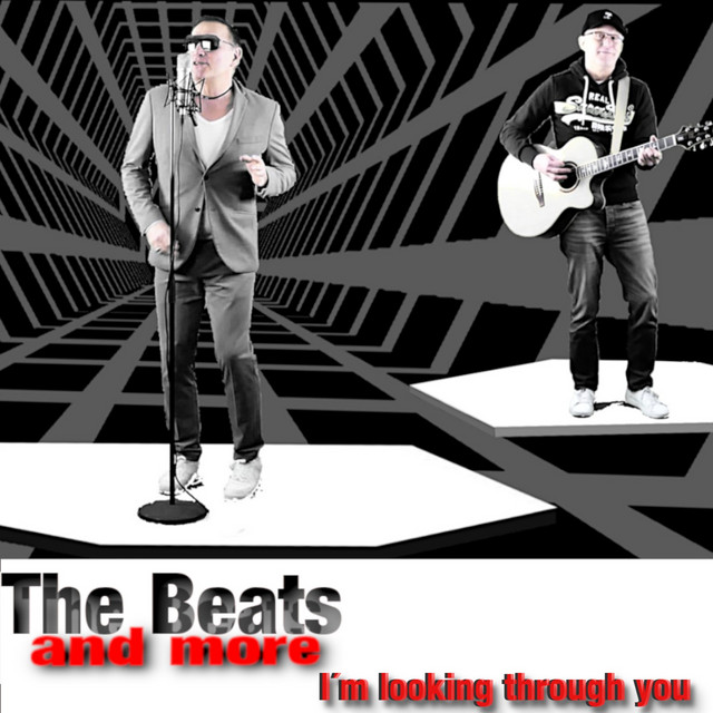 Cover du titre I’m Looking Through You