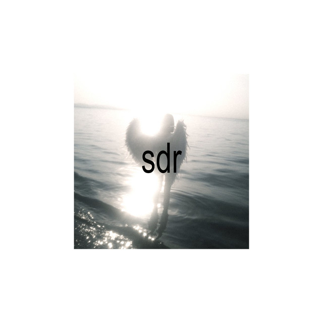 Обкладинка: sdr — raver