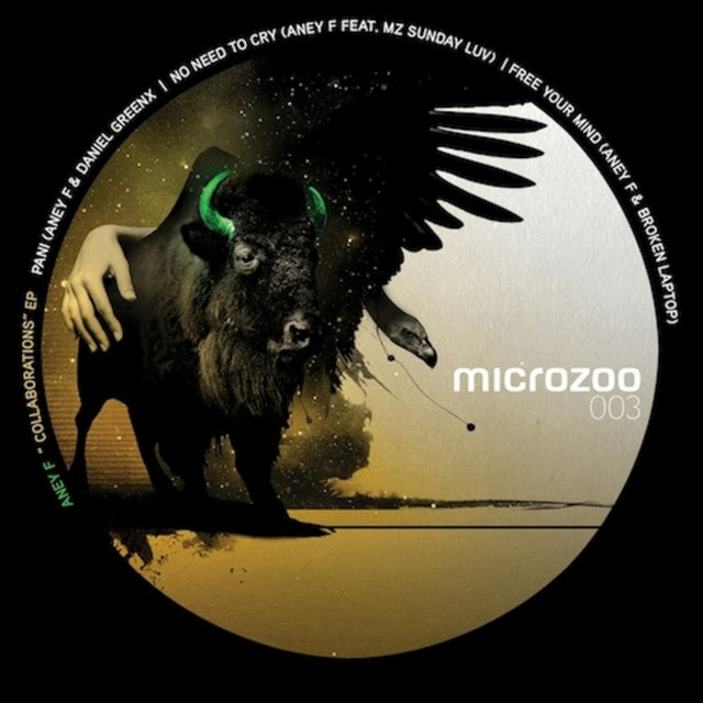 Pani - Original Mix cover art