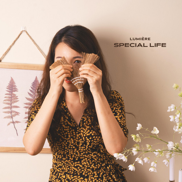 Cover art for Lumiere — Special Life