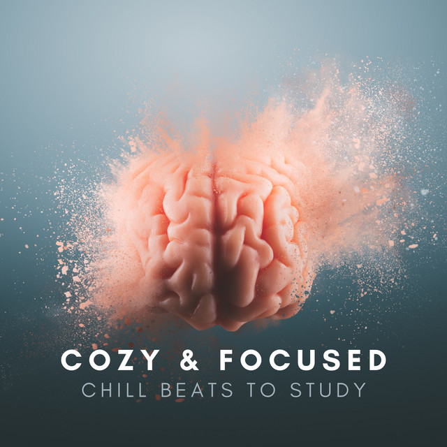 Cozy & Focused: Relaxing Drum Chill Beats for Studying, Motivation to Learn, Stay Focused & Improve Concentration Easily cover art