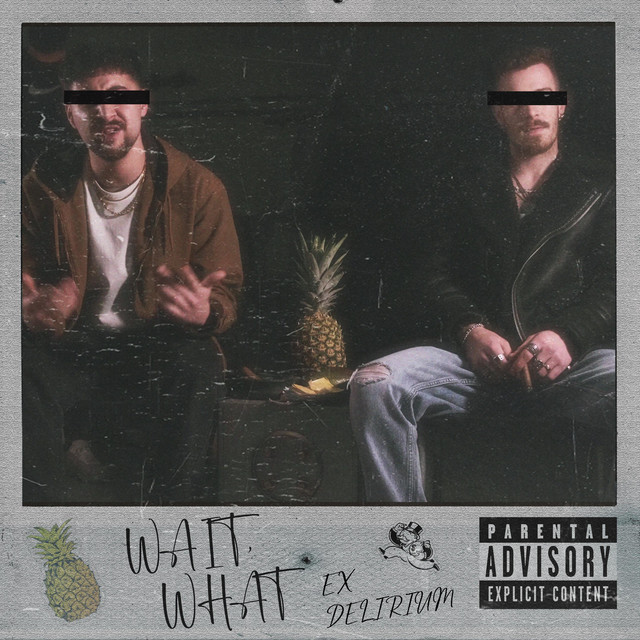 Wait, What cover art