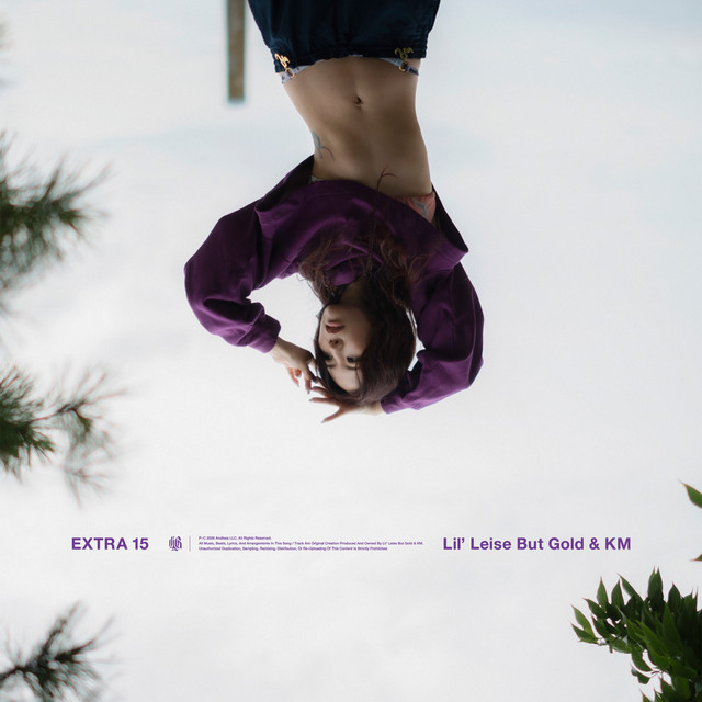 EXTRA 15 artwork