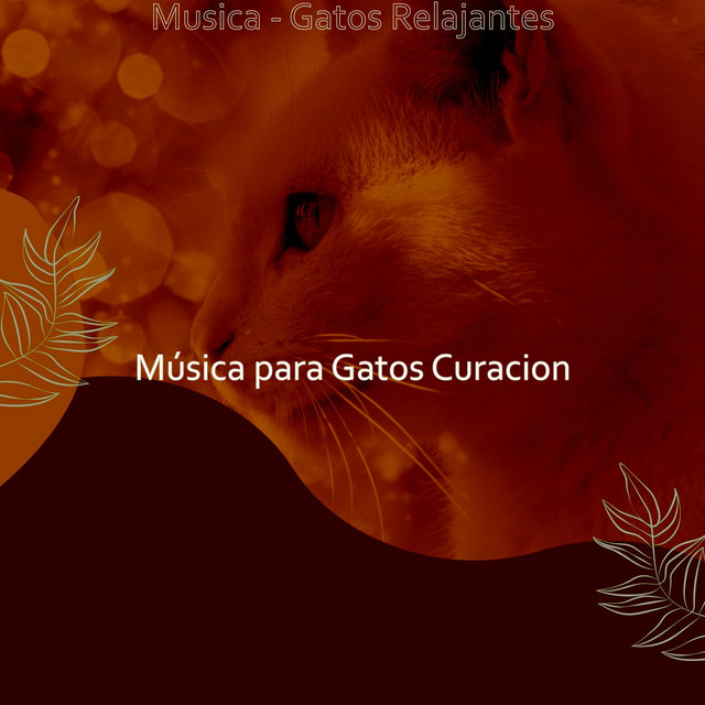 Musica - Gatos Relajantes cover art