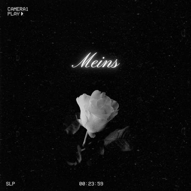 Meins cover art
