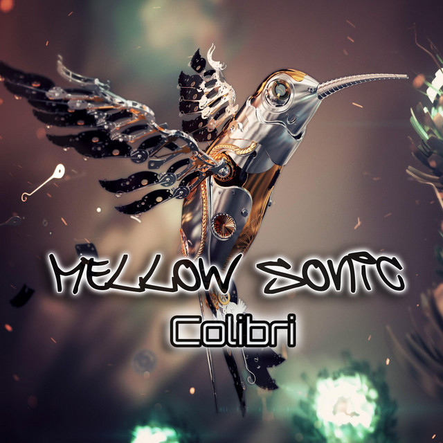 Colibri - Single by Mellow Sonic | Spotify