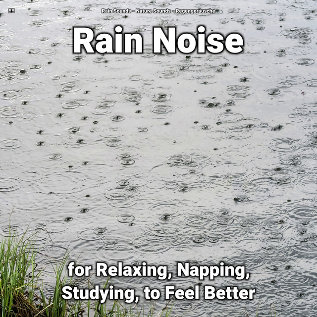 !!!! Rain Noise for Relaxing, Napping, Studying, to Feel Better cover art