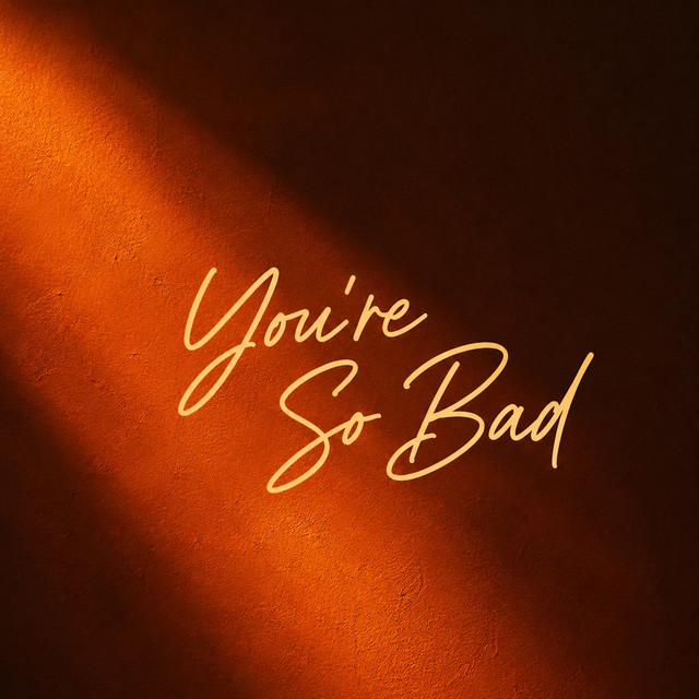 You're So Bad (Extended Mix) album image
