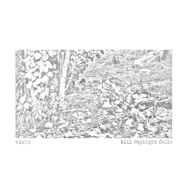 Till Daylight Falls cover art