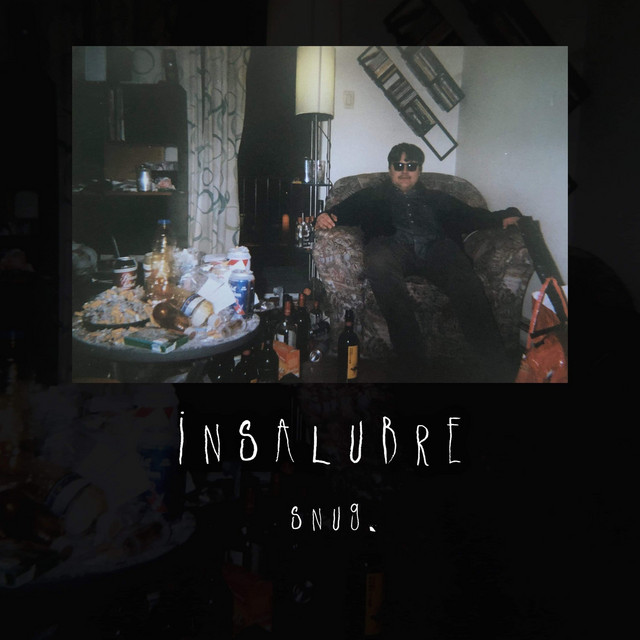 Insalubre cover art