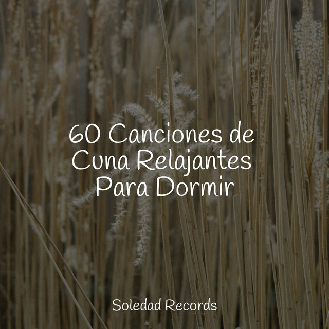 60 Canciones de Cuna Relajantes Para Dormir