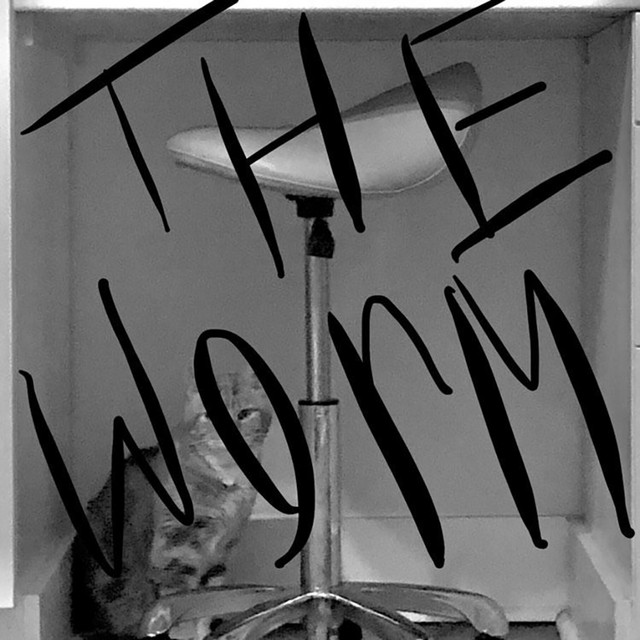The Worm cover art