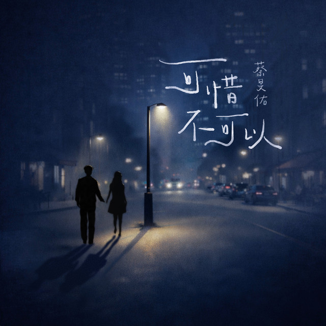可惜不可以
