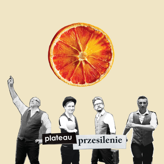 Przesilenie cover art