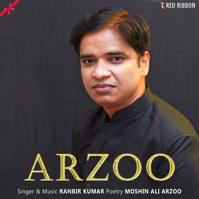 Arzoo cover art