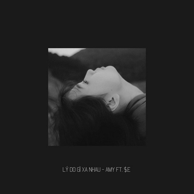 Lý Do Gì Xa Nhau cover art
