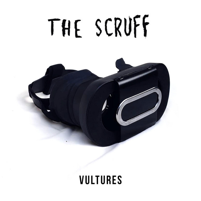 Vultures cover