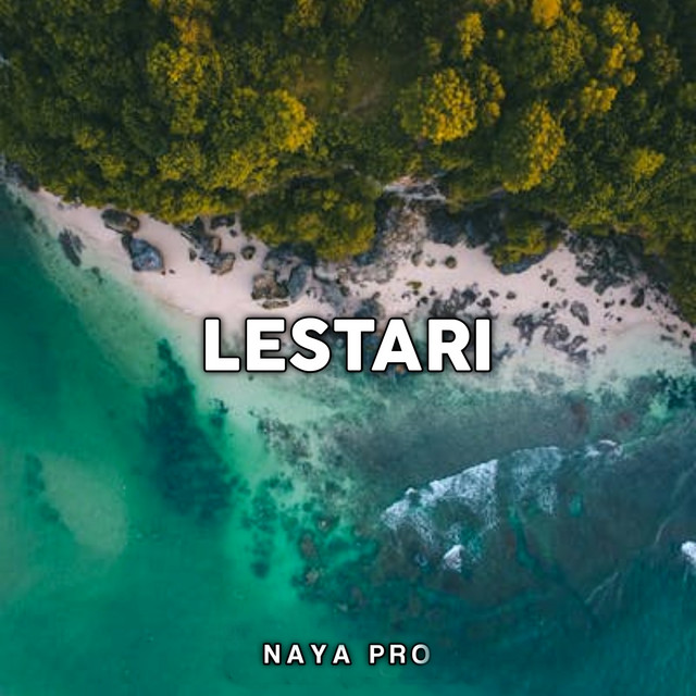 Naya Pro