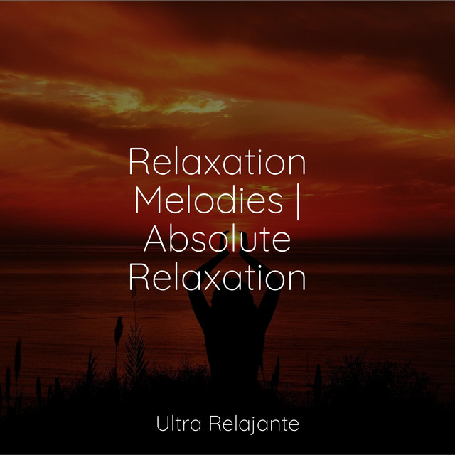 Relaxation Melodies | Absolute Relaxation - Album by Echoes Of Nature ...