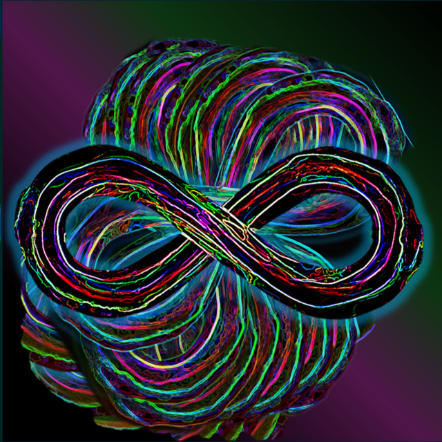 The Holy Fool - the Autism Project cover art