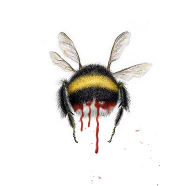 bumblebee's bleed cover art