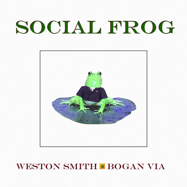 Social Frog cover