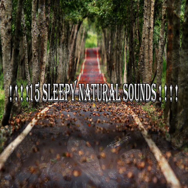 15 Sleepy Natural Sounds ! ! ! ! - Album by Sounds of Nature Noise ...