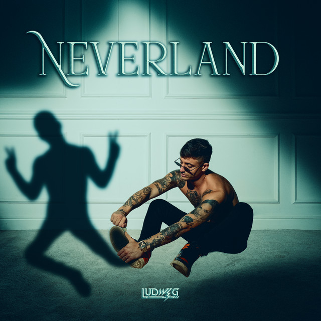 Lei Vuole cover art